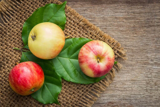Les nutriments des pommes