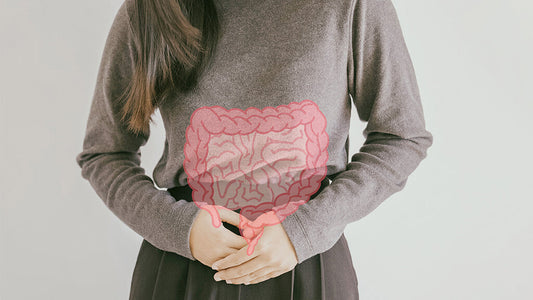 Intestin sain – Qu’est-ce que la « santé intestinale » exactement ?